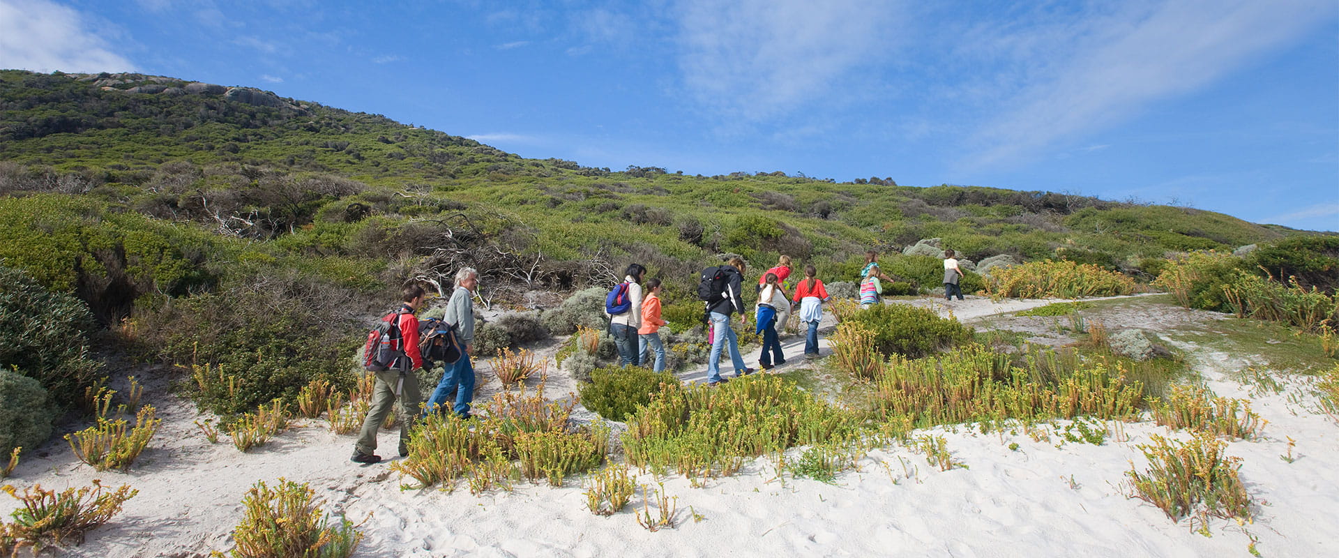 A group of people walking along a sandy path between vegetation.